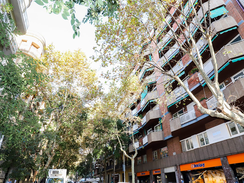 To renovate flat of 46 m2 in Grácia, Vila de Grácia